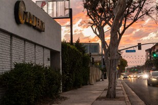 Gardenia Lounge & Bar - Bar