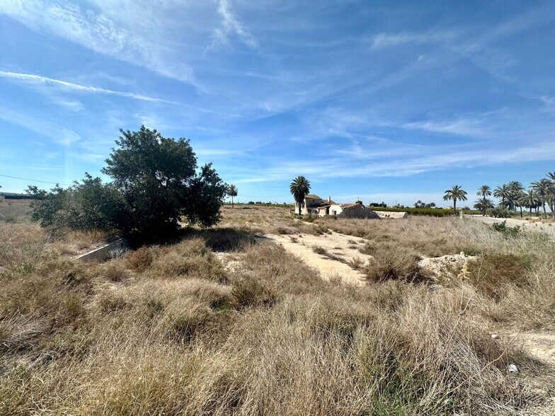 Land in Elche, Alicante for sale - Building Photo - Image 3 of 6