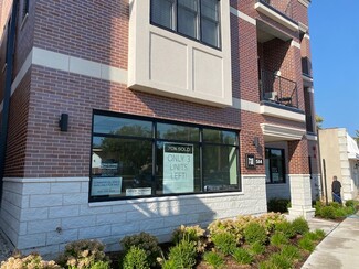 More details for 514 Hillgrove Ave, Western Springs, IL - Multifamily for Sale