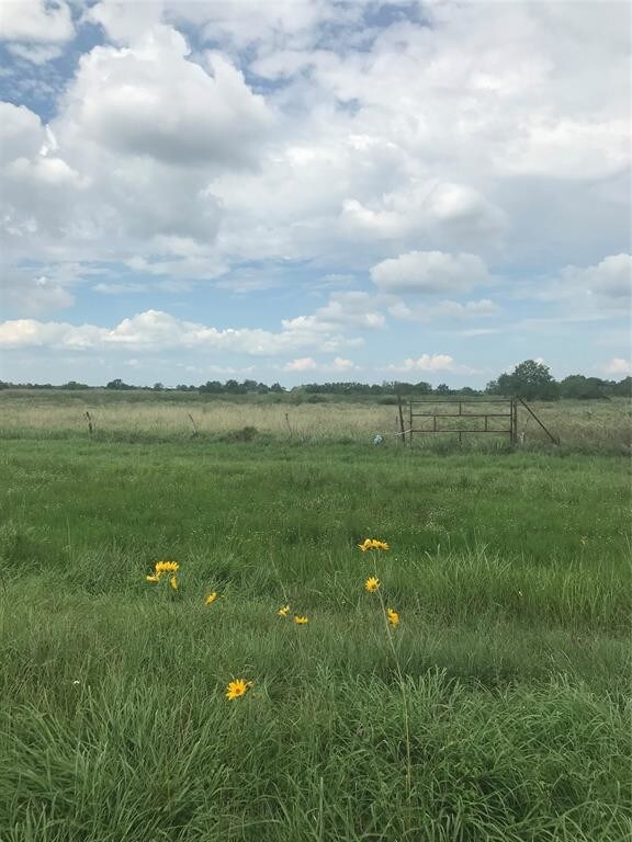 View Photo