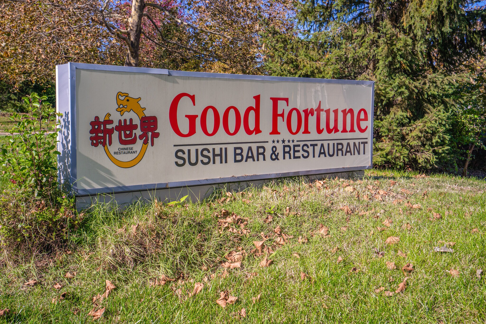 42864 Truro Parish Dr, Ashburn, VA 20148 Retail for Sale