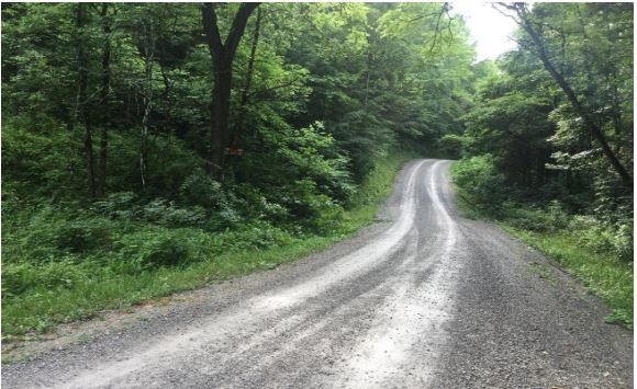 Steel House Hollow Rd, Clairfield, TN for sale Other- Image 1 of 1