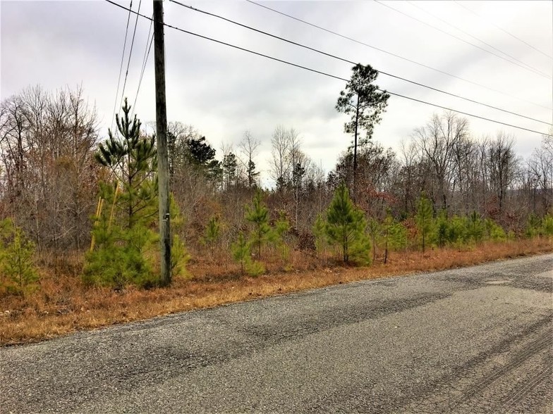 Lester Doss Road, Warrior, AL for sale - Building Photo - Image 1 of 1