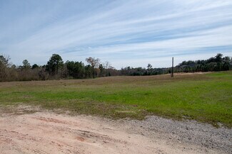 More details for U. S. Highway 69S, Woodville, TX - Land for Sale