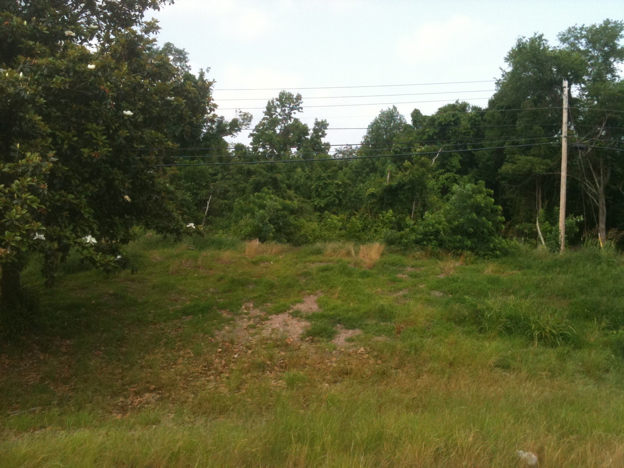 450 Highway 61 S, Natchez, MS for sale Building Photo- Image 1 of 1