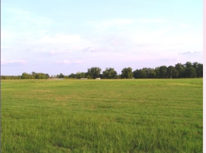 Loop 151 & Buchanan Road, Texarkana, TX for sale - Primary Photo - Image 1 of 1