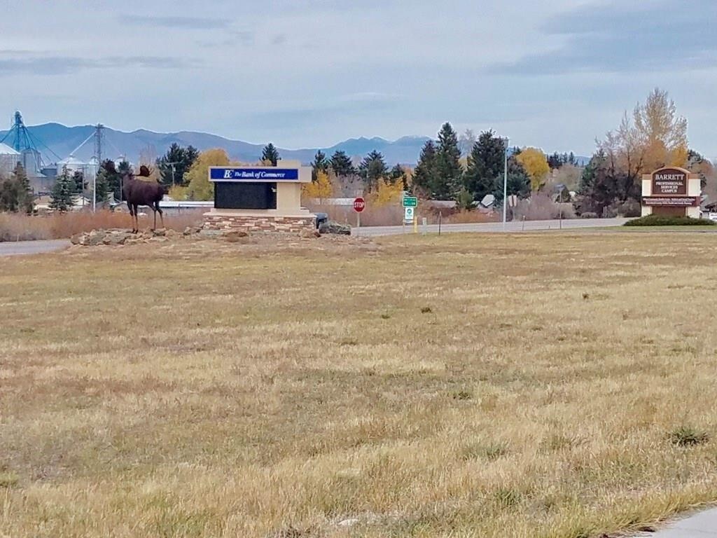 TBD State St, Dillon, MT 59725 Land for Sale