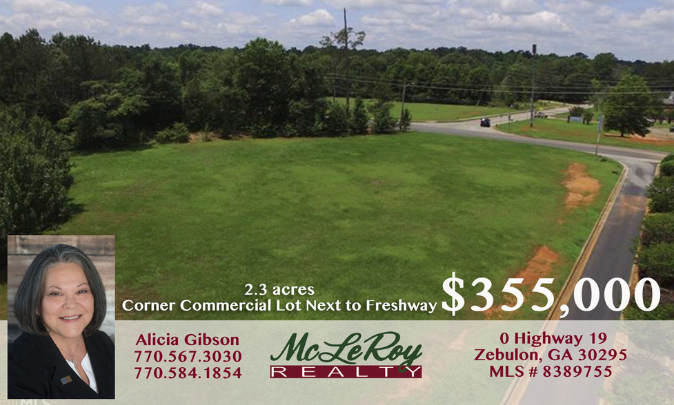 00 US 19 Hwy, Zebulon, GA for sale - Other - Image 1 of 1