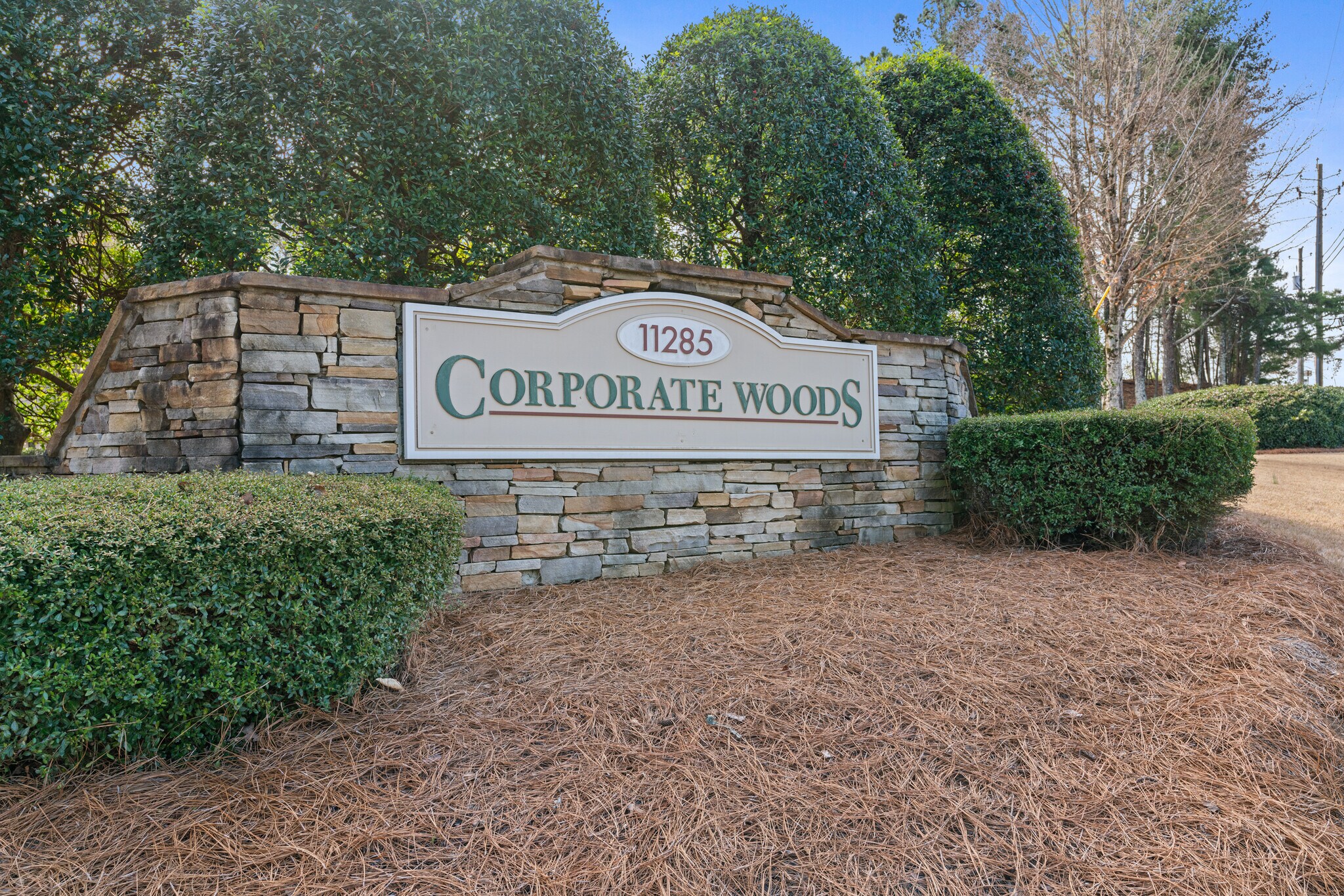 11285 Elkins Rd, Roswell, GA 30076 D