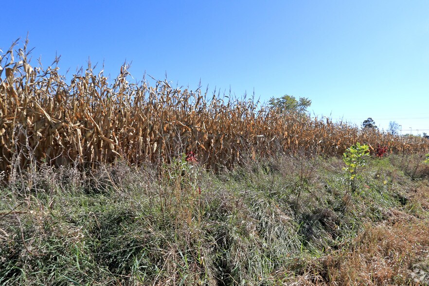 Van Dyke Rd, Almont, MI 48003