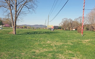 More details for 7911 E Lamar Alexander Pky, Townsend, TN - Land for Sale