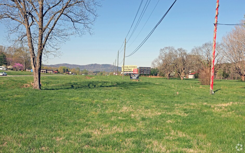 7911 E Lamar Alexander Pky, Townsend, TN for sale - Primary Photo - Image 1 of 4