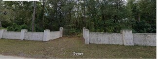 More details for 1513 Piermaj Ln, Lutz, FL - Land for Sale