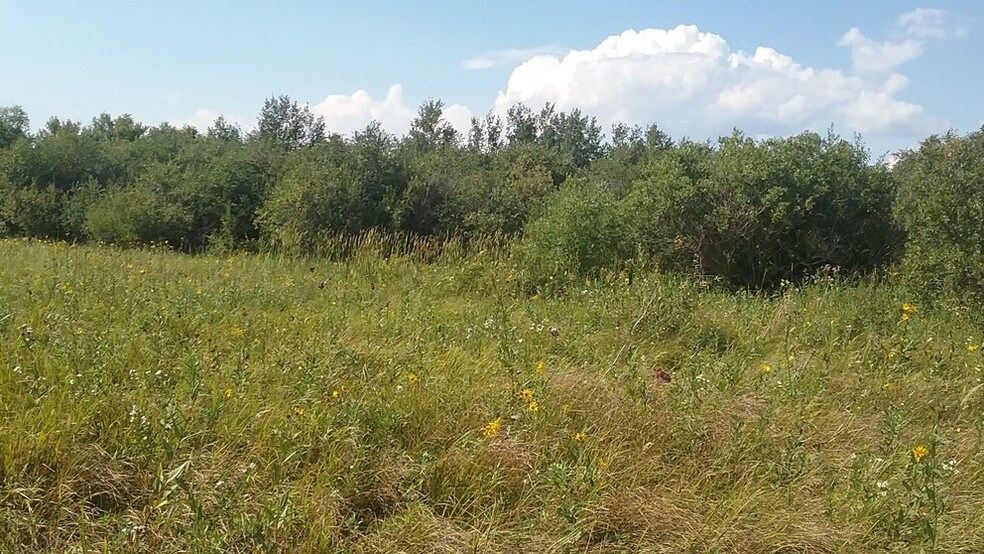 40 Acres 210 St, Hitterdal, MN 56552