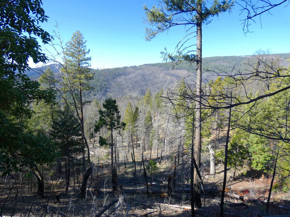 Parcel 6 Rd, Horse Creek, CA 96050