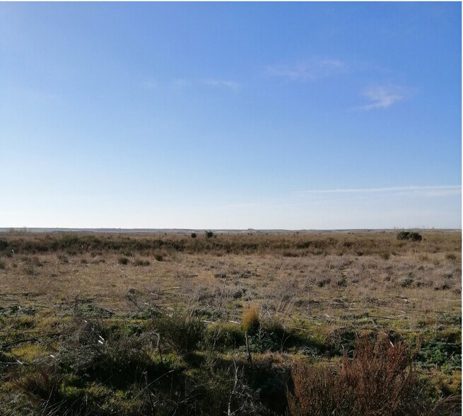 Land in Mansilla de las Mulas for sale - Building Photo - Image 2 of 18