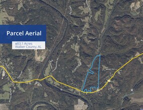 Coon Creek Road Rd, Sipsey, AL - AERIAL  map view