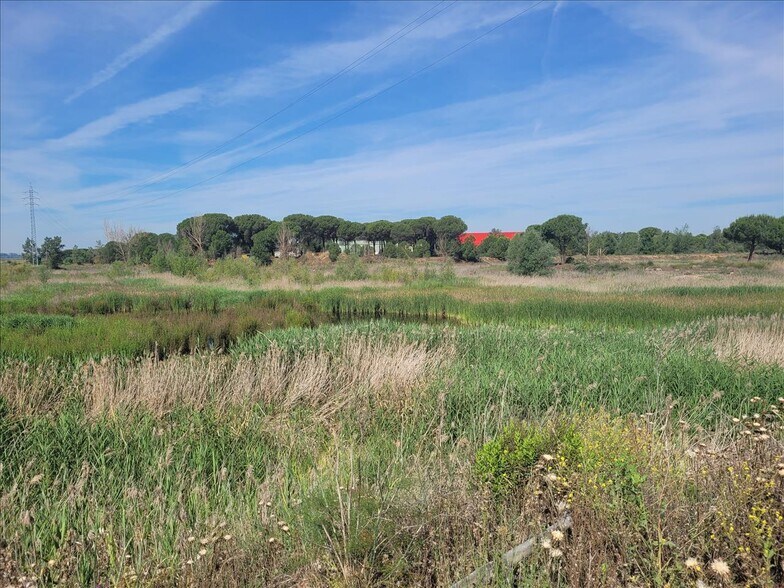 Land in Coreses for sale - Building Photo - Image 1 of 19