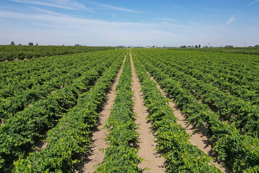 14454 W. Barstow Avenue, Kerman, CA 93630