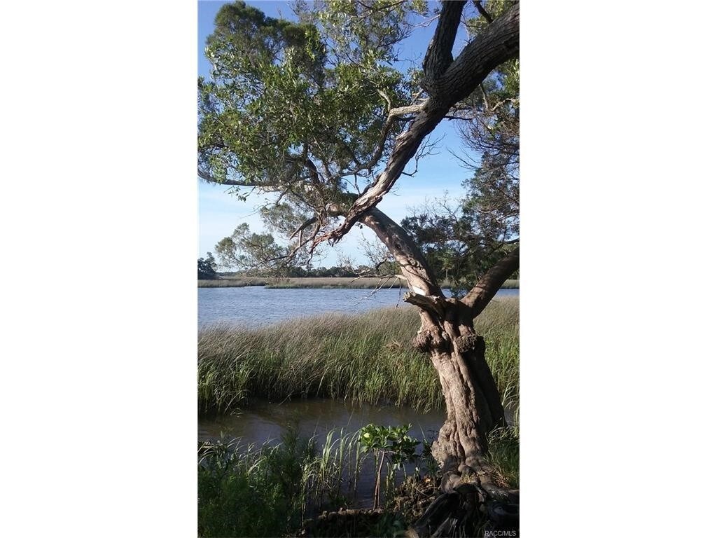 View Photo
