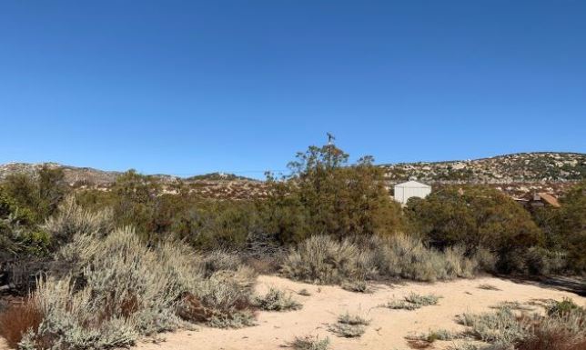 Old Highway 80, Pine Valley, CA for sale - Primary Photo - Image 1 of 1