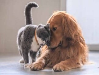 More details for 20 Victory Ln, Castleton, VA - Retail for Sale