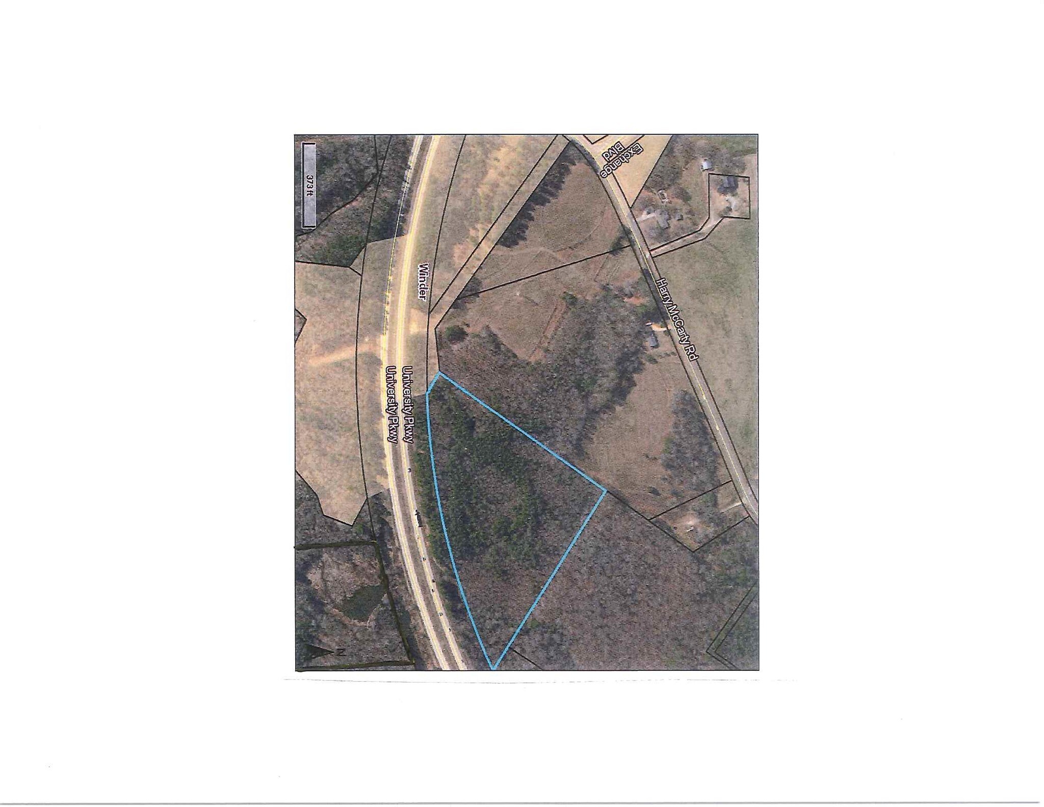 0 University Pky, Bethlehem, GA for sale Aerial- Image 1 of 1