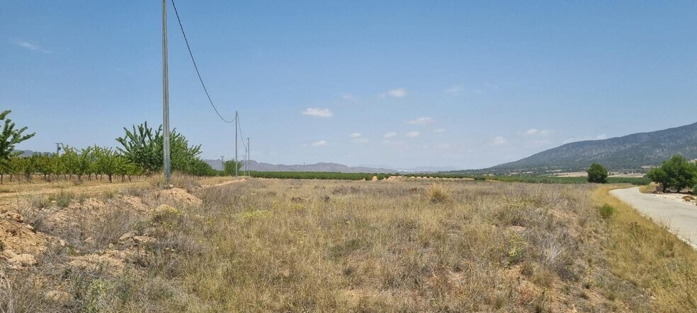Land in Yecla for sale - Building Photo - Image 2 of 7