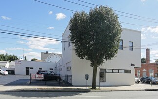 More details for 246 Mineola Blvd, Mineola, NY - Office, Office/Medical for Lease