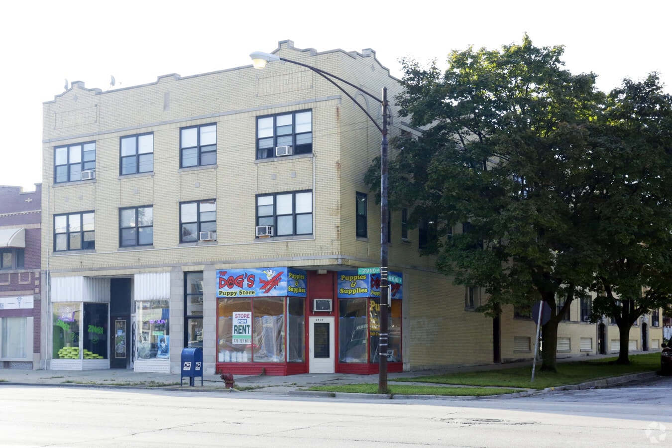 Primary Photo