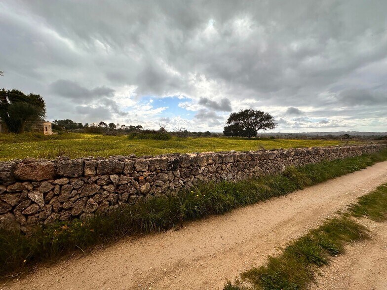 Land in Sineu for sale - Building Photo - Image 2 of 14