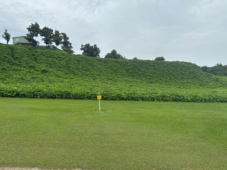 10 Grand Soleil Boulevard, Natchez, MS for sale - Primary Photo - Image 1 of 6