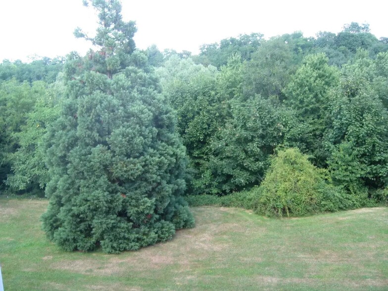 42 Chemin Du Moulin Carron, Écully for sale - Building Photo - Image 3 of 8