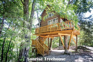 Treehouse Bed and Breakfast - Commercial Kitchen