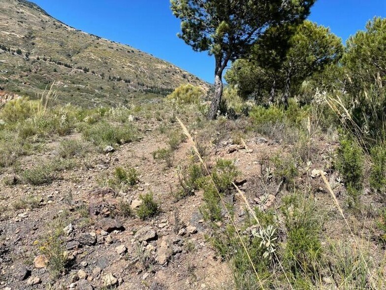 Land in Carataunas for sale - Building Photo - Image 2 of 8