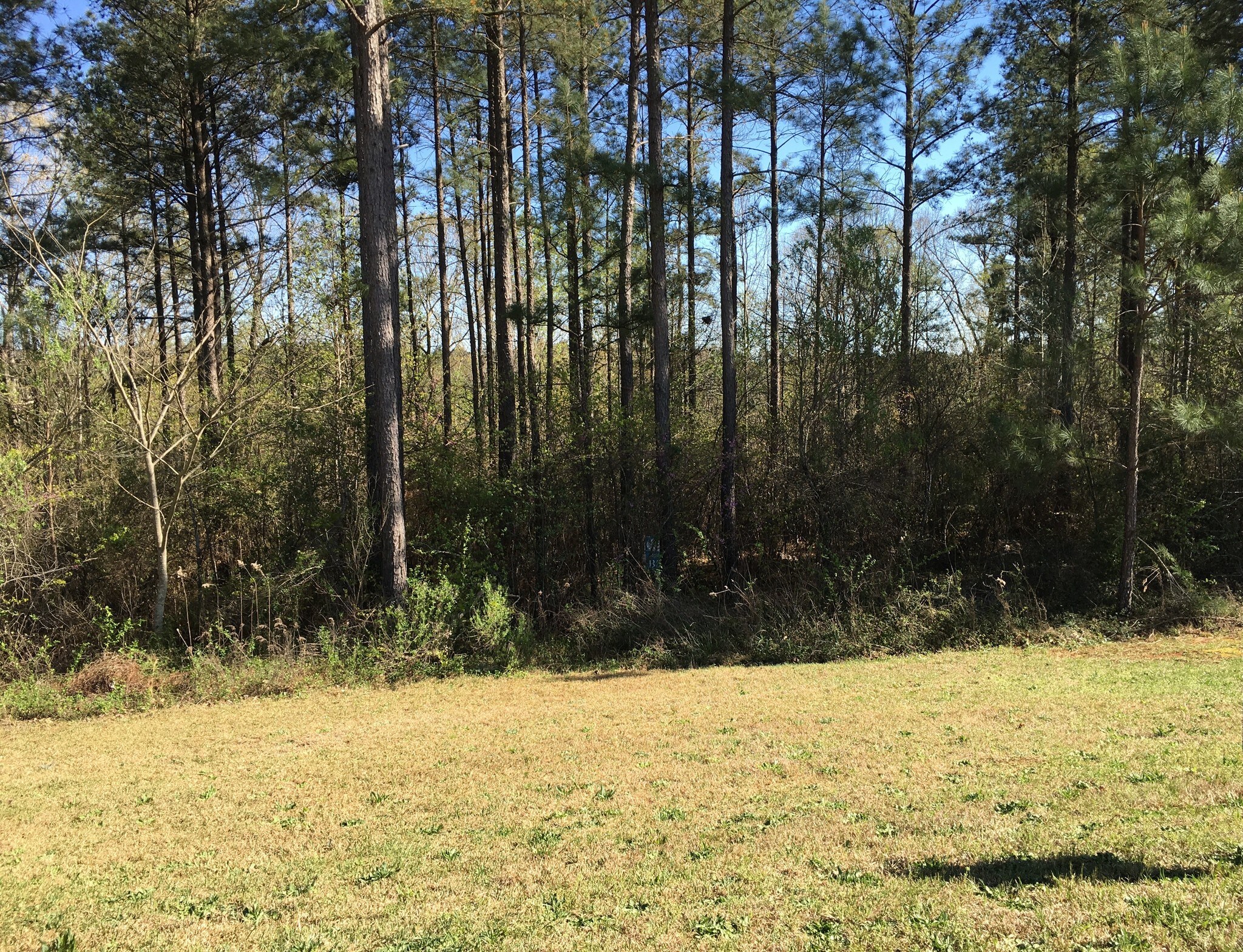 107 Forest Overlook Dr, Forsyth, GA for sale Building Photo- Image 1 of 1