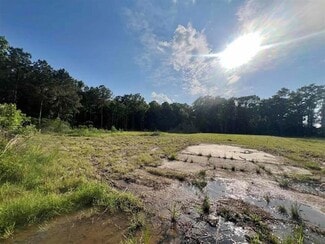 More details for IH 10 and Sierra Rd, Vidor, TX - Land for Sale