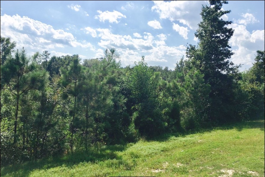 NC Hwy 24 87, Cameron, NC for sale - Other - Image 2 of 15