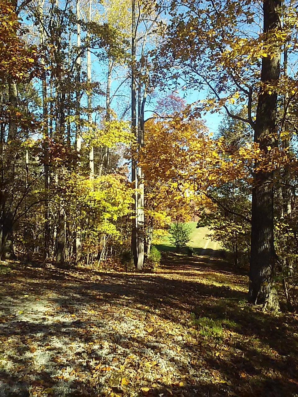 2589 Quick Rd, Ruffin, NC for sale Primary Photo- Image 1 of 1