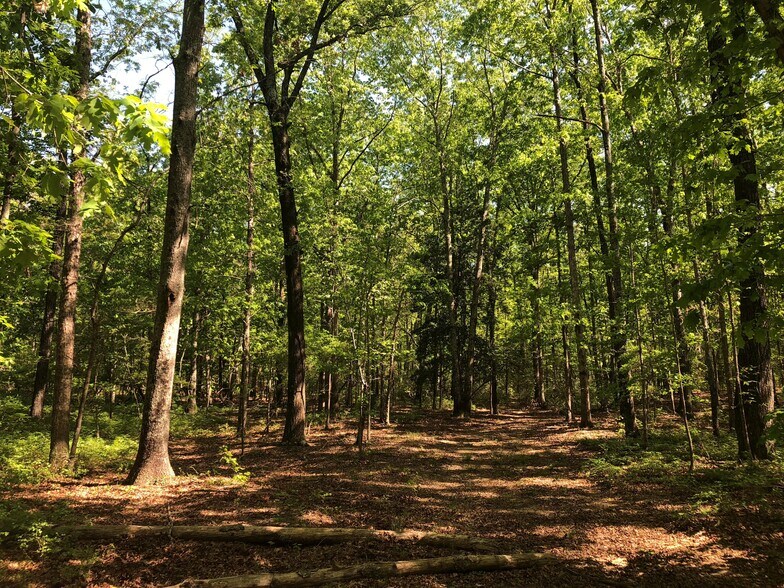 Screaming Eagle Road Ext, Lugoff, SC for sale - Primary Photo - Image 1 of 1