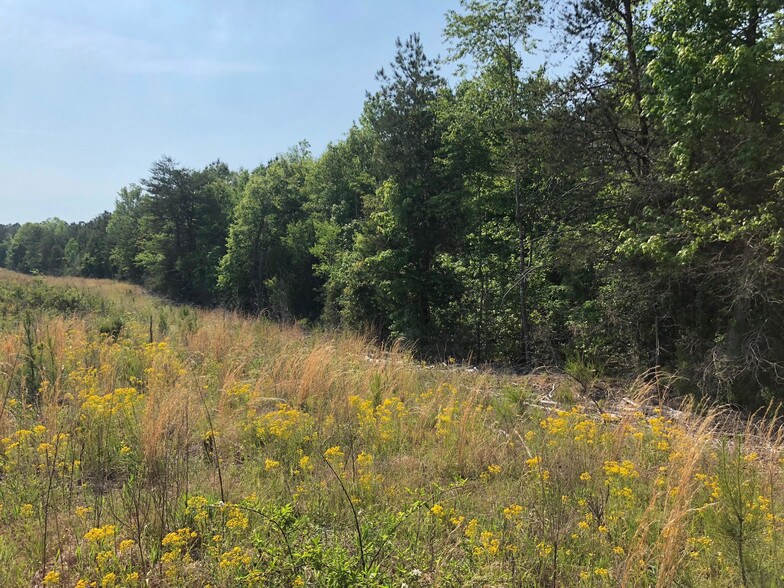 0 Kingsbury Rd, York, SC for sale - Other - Image 1 of 1