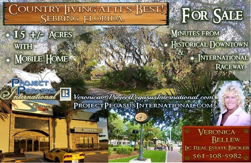 253 Nursery Rd, Sebring, FL 33875