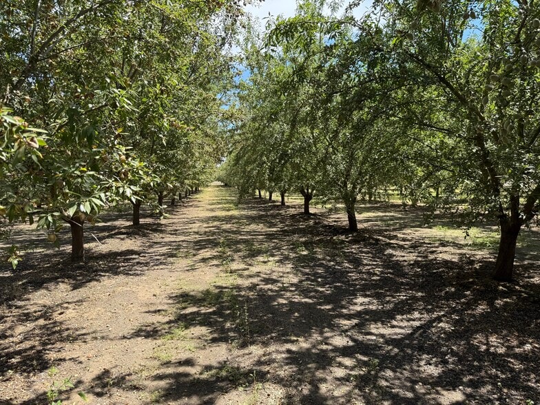 Yosemite Boulevard, Modesto, CA for sale - Other - Image 2 of 8