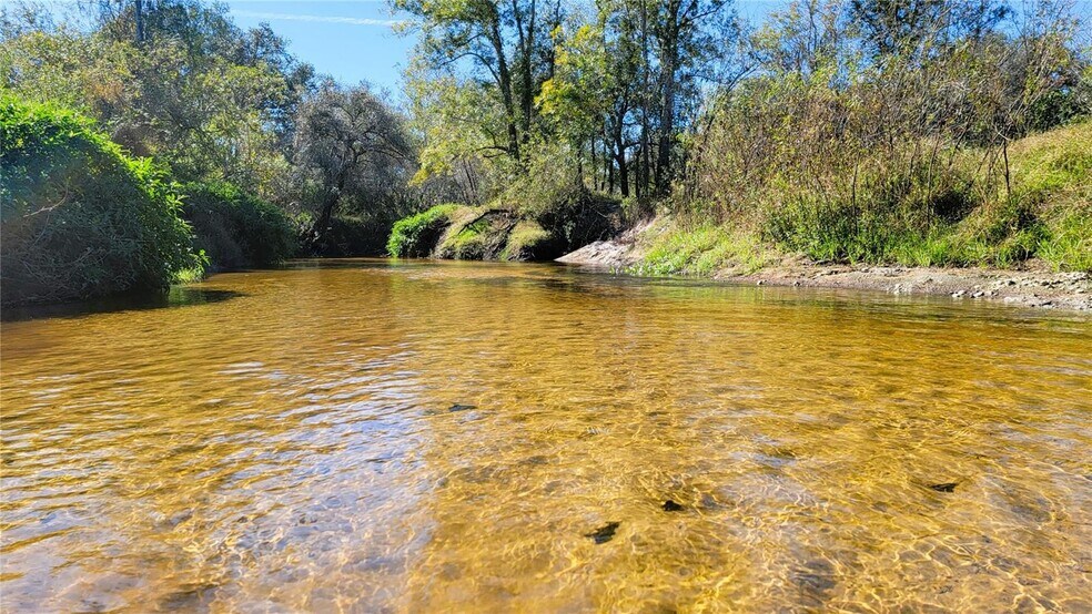 3950 SW Hwy 17, Arcadia, FL for sale - Building Photo - Image 1 of 1