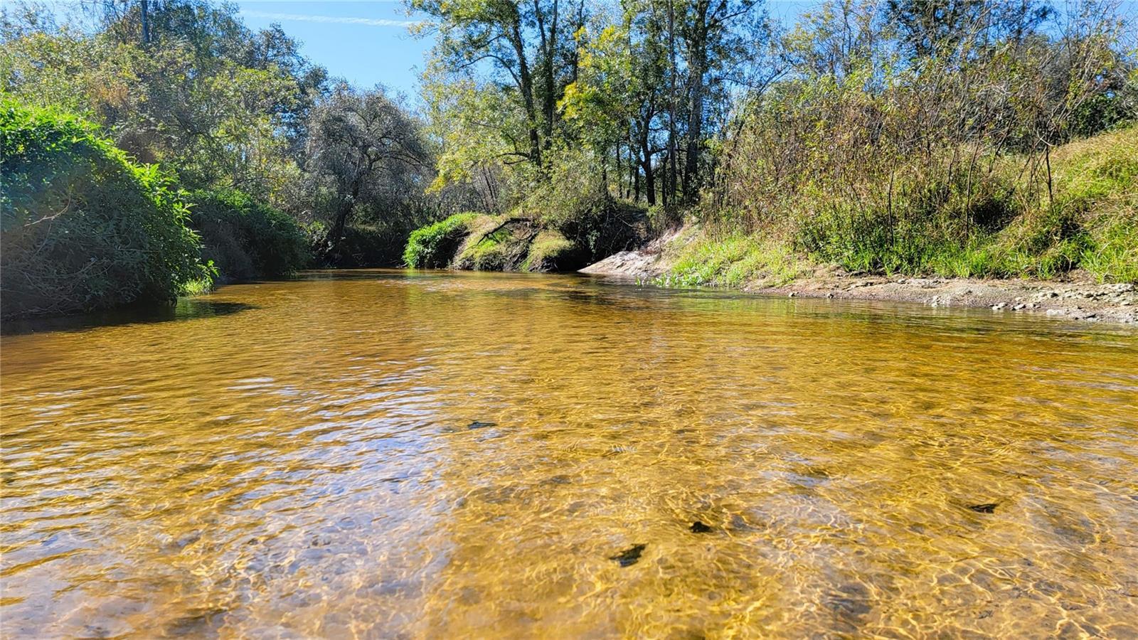 3950 SW Hwy 17, Arcadia, FL for sale Building Photo- Image 1 of 1