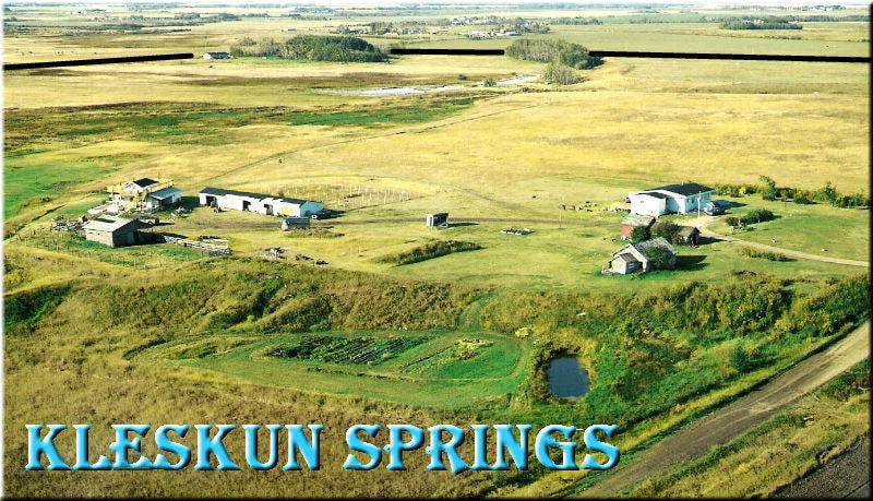 45063a-Twp Rd 734, Sexsmith, AB for sale - Other - Image 1 of 1