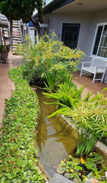 7730-7742 Herschel Ave, La Jolla, CA for lease - Building Photo - Image 3 of 14