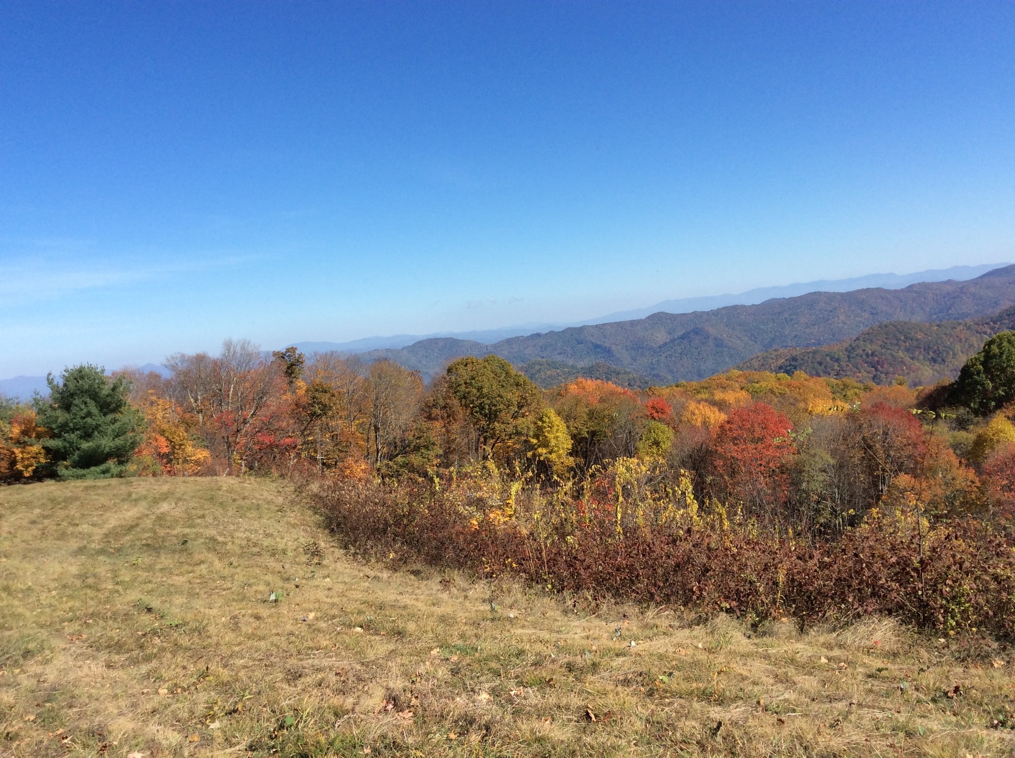 395 Paradox Ln, Hot Springs, NC for sale Building Photo- Image 1 of 1