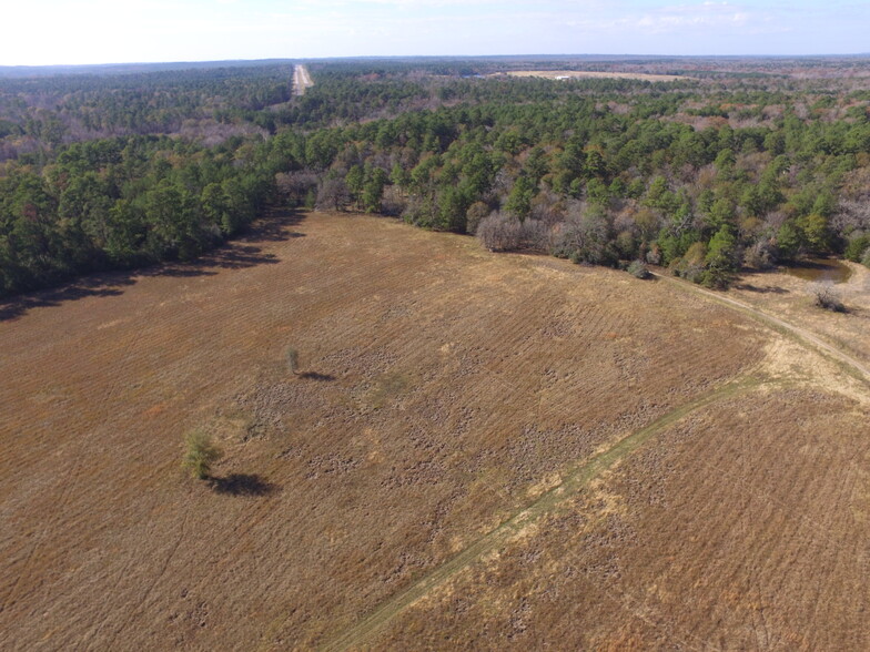 13.71 Ac Percy Howard Tract 1 rd, Huntsville, TX for sale - Other - Image 1 of 3