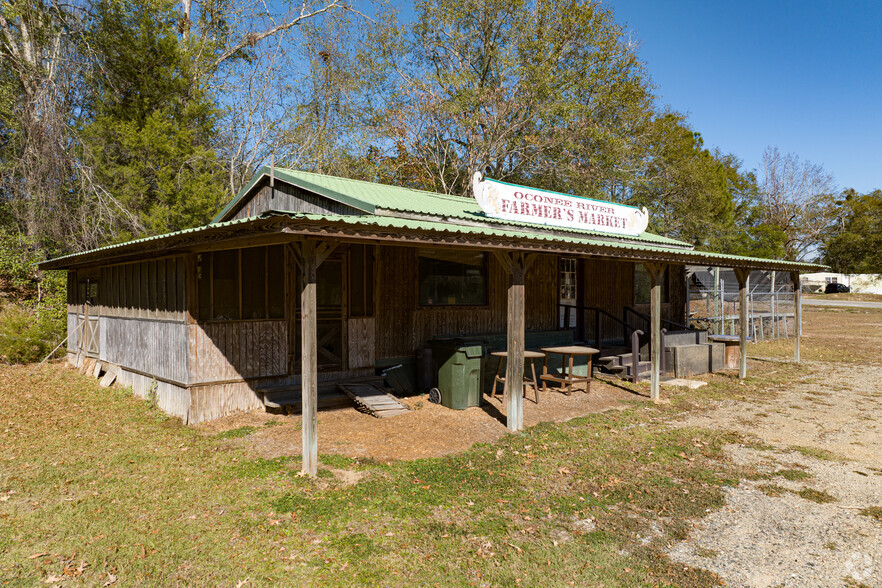 400 Carver St, Mount Vernon, GA for lease - Building Photo - Image 3 of 17